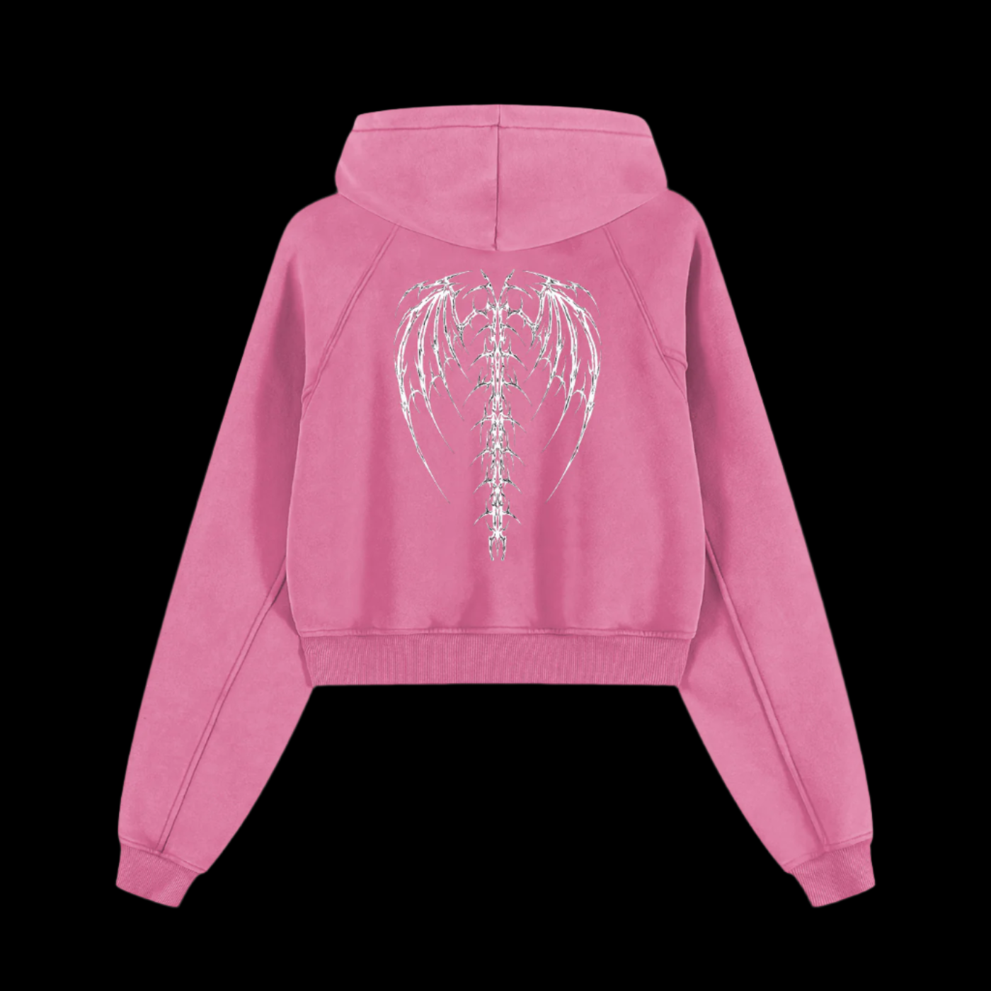 Wings Snow Washed Cropped Hoodie