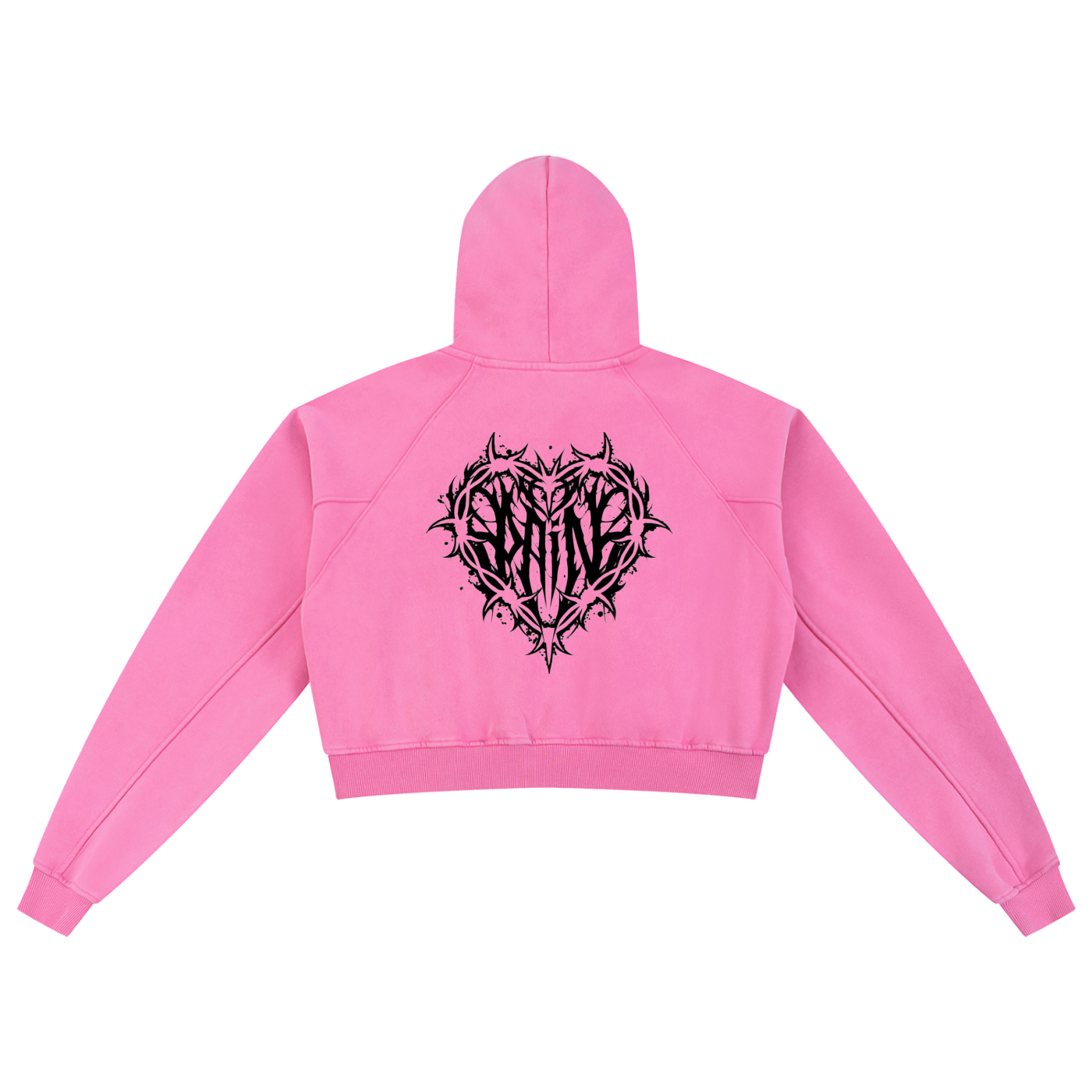 NTTB Pain Snow Washed Cropped Hoodie