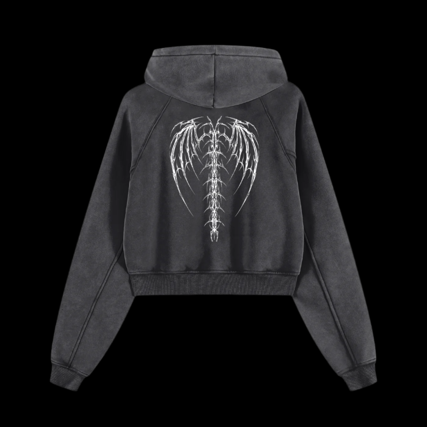 Wings Snow Washed Cropped Hoodie